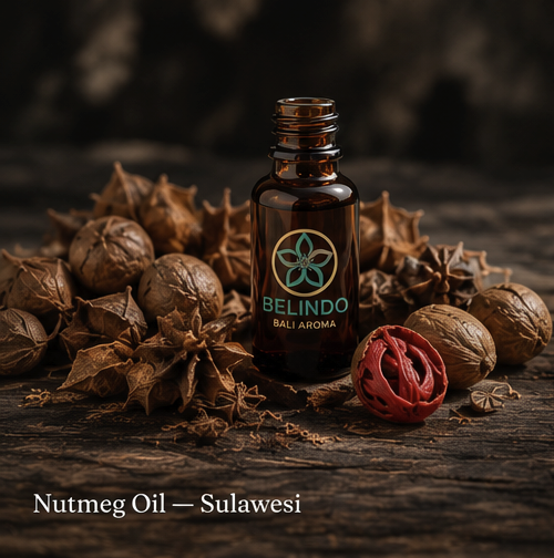 Sulawesi-origin nutmeg oil with dark, richly aromatic nutmeg seeds
