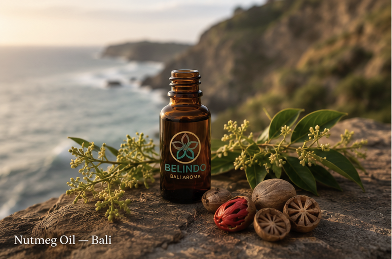 Bali-origin nutmeg oil bottle with fresh nutmeg seeds