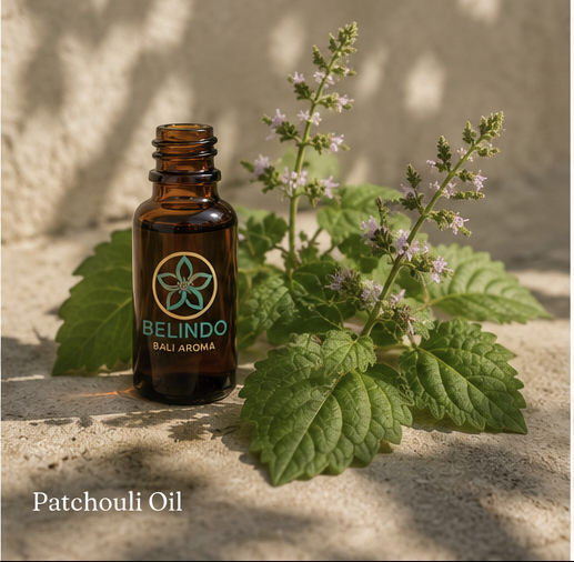 Amber patchouli oil bottle with dried patchouli leaves